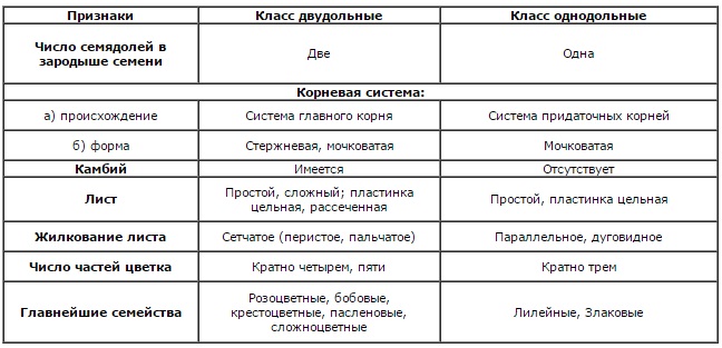 сравнение классов однодольные и двудольные