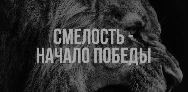 Смелость И Трусость 🐲 Спадило.ру