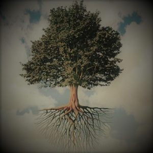 Листы и корни - краткое содержание басни Крылова (сюжет произведения)