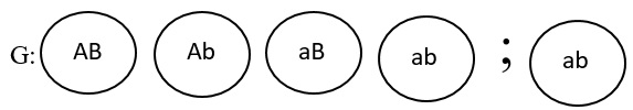 Схема aabb х aabb иллюстрирует скрещивание