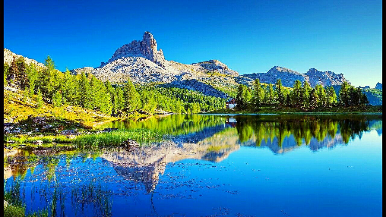 Сочинение "Берегите природу!" • СПАДИЛО