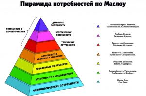 Перед вами изображение пирамиды потребностей а маслоу вам необходимо вспомнить какие потребности