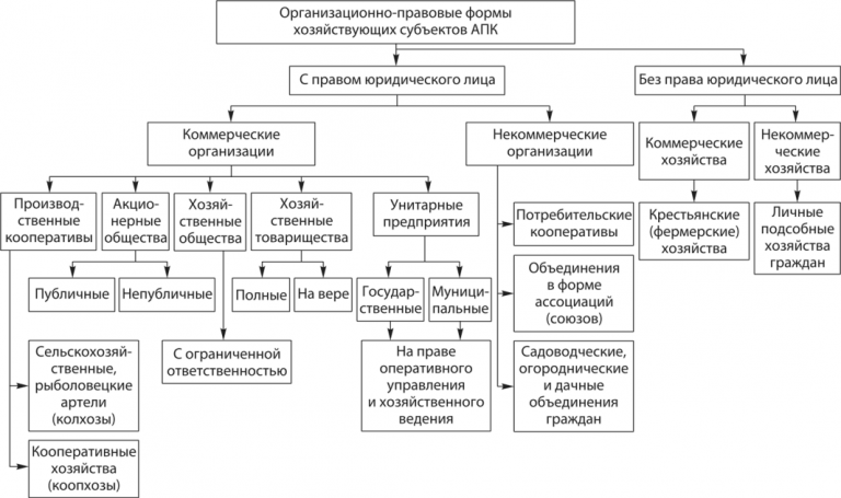 Схема организационно правовые формы предпринимательства