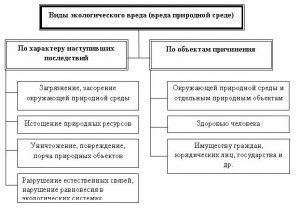 Право на благоприятную окружающую среду презентация