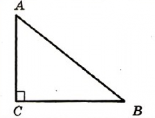Какие стороны треугольника называются катетами