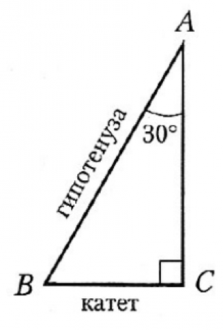 Какие стороны треугольника называются катетами
