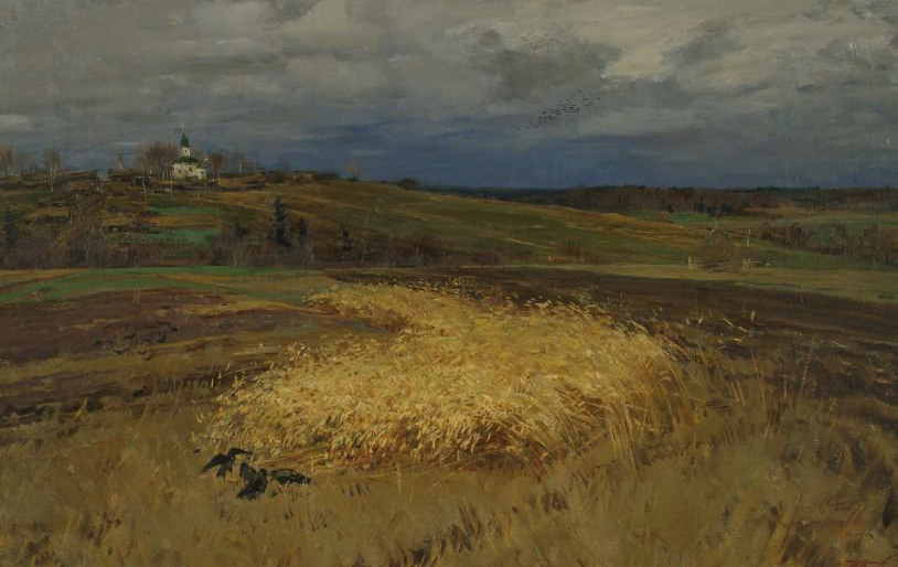 Несжатая полоса