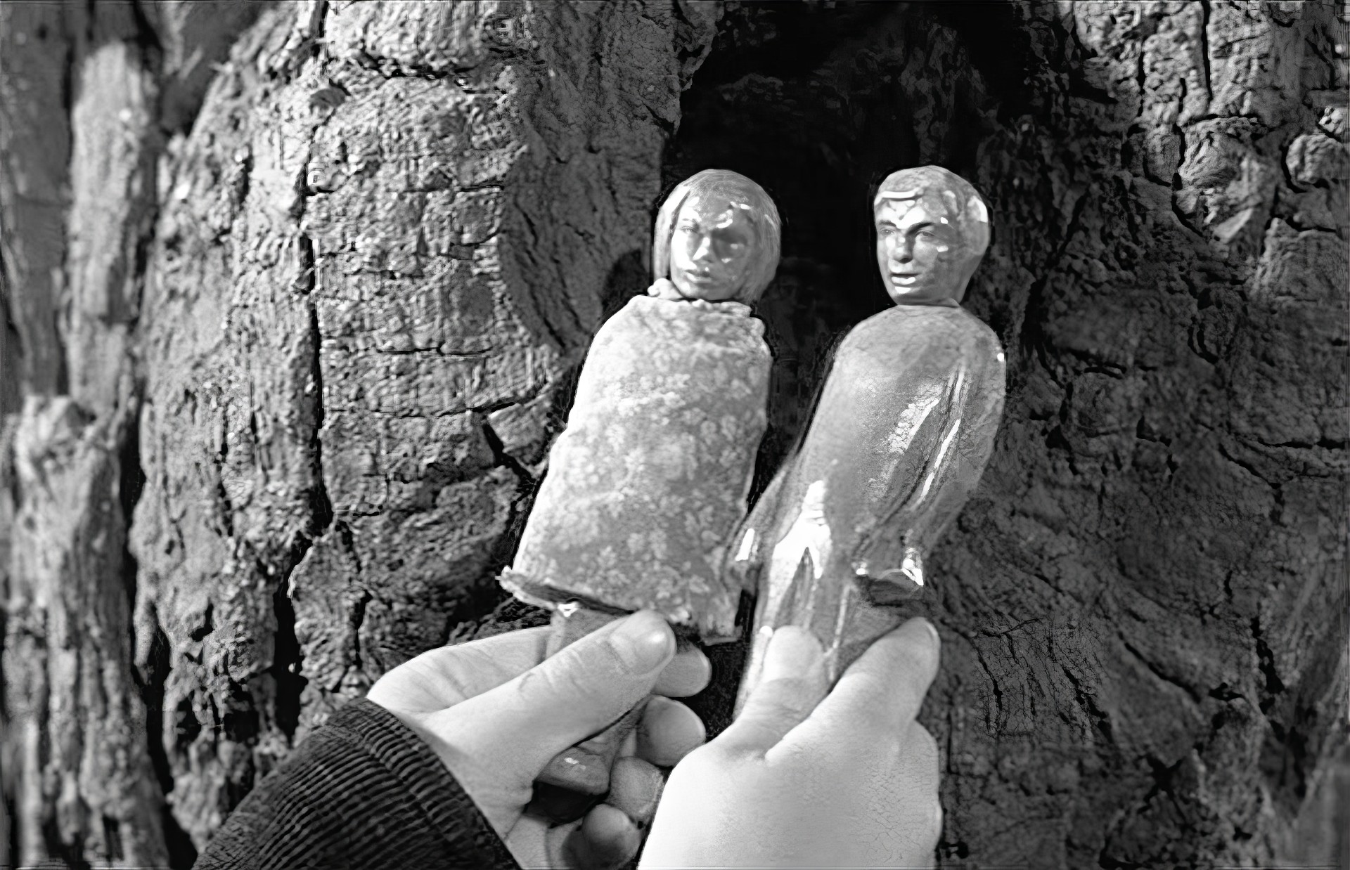 Игрушки, оставленные в дупле дерева Страшилой Рэдли. Кадр к фильму "Убить пересмешника" (1962).