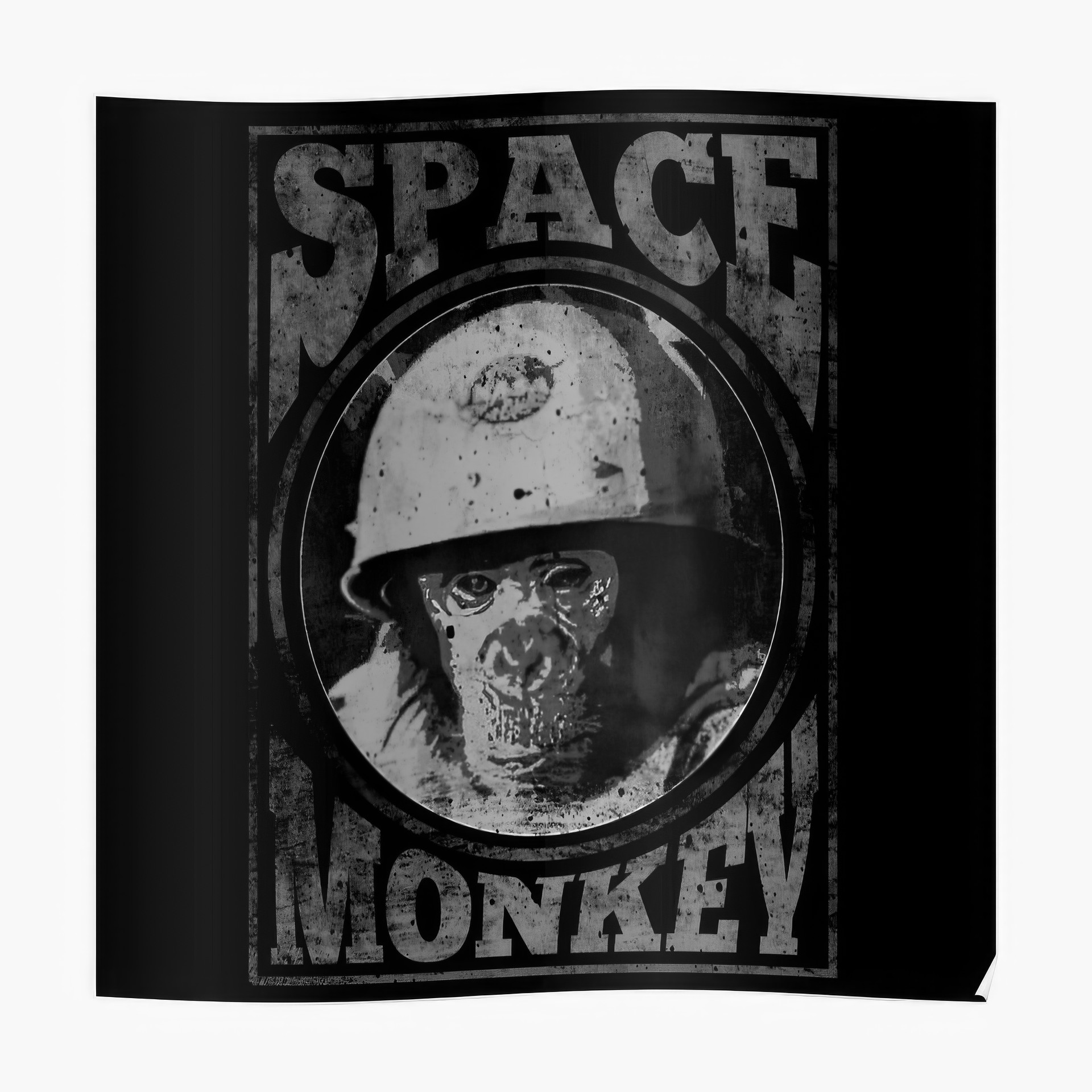 Обезьяна-астронавт. Образ из романа "Бойцовский клуб" Ч. Паланика.