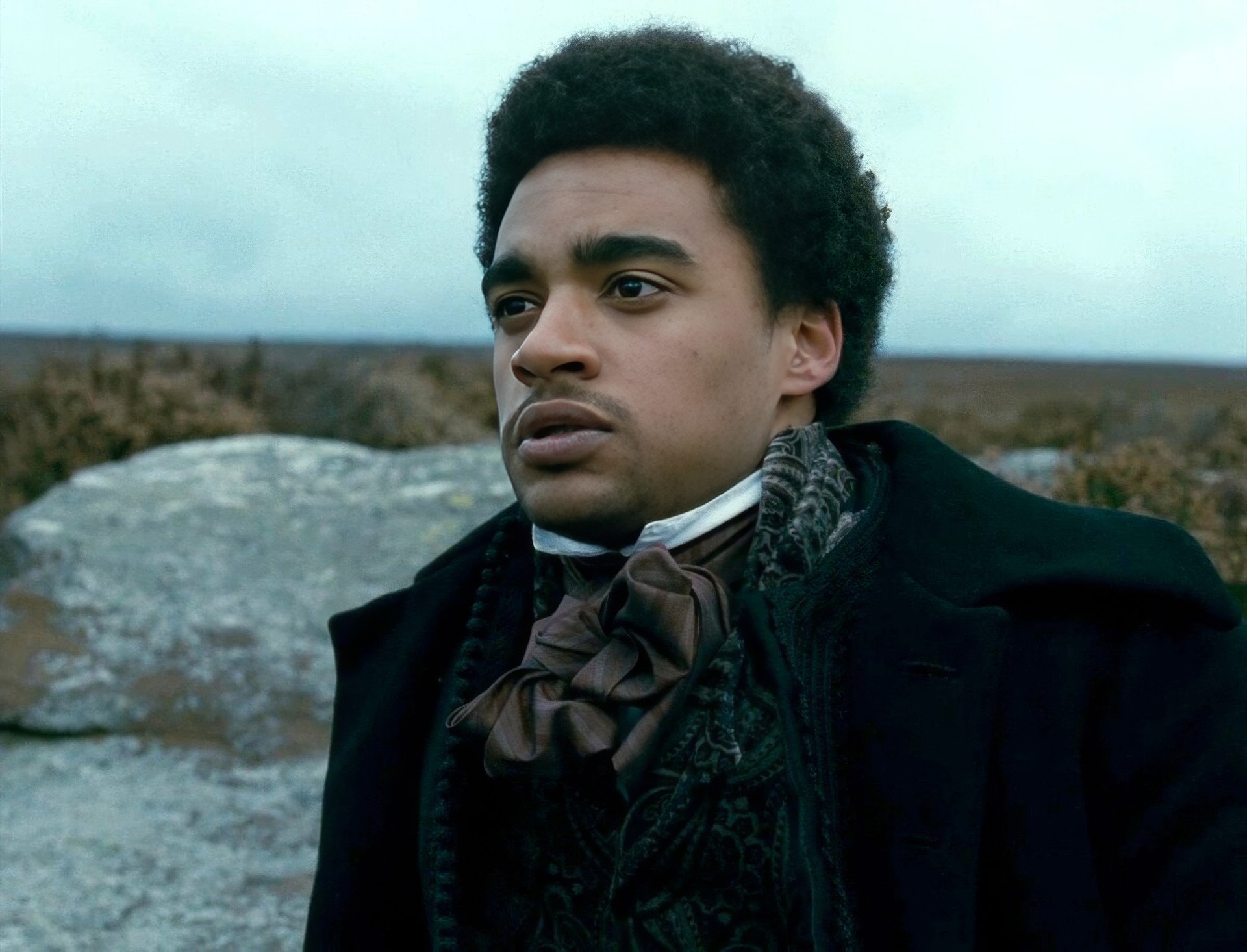 Джеймс Хоусон сыграл роль Хитклиффа в британском фильме «Грозовой перевал» (Wuthering Heights, 2011) режиссёра Андреа Арнольд.