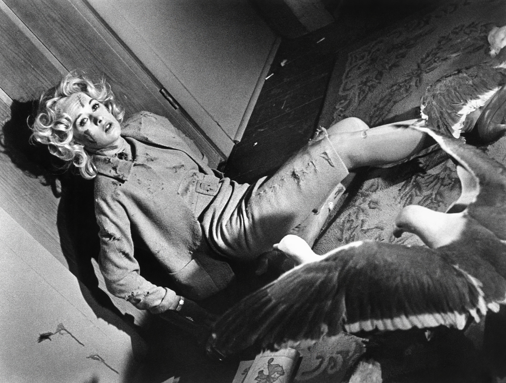 Кадр из триллера «Птицы» (англ. The Birds) (1963) режиссёра Альфреда Хичкока.