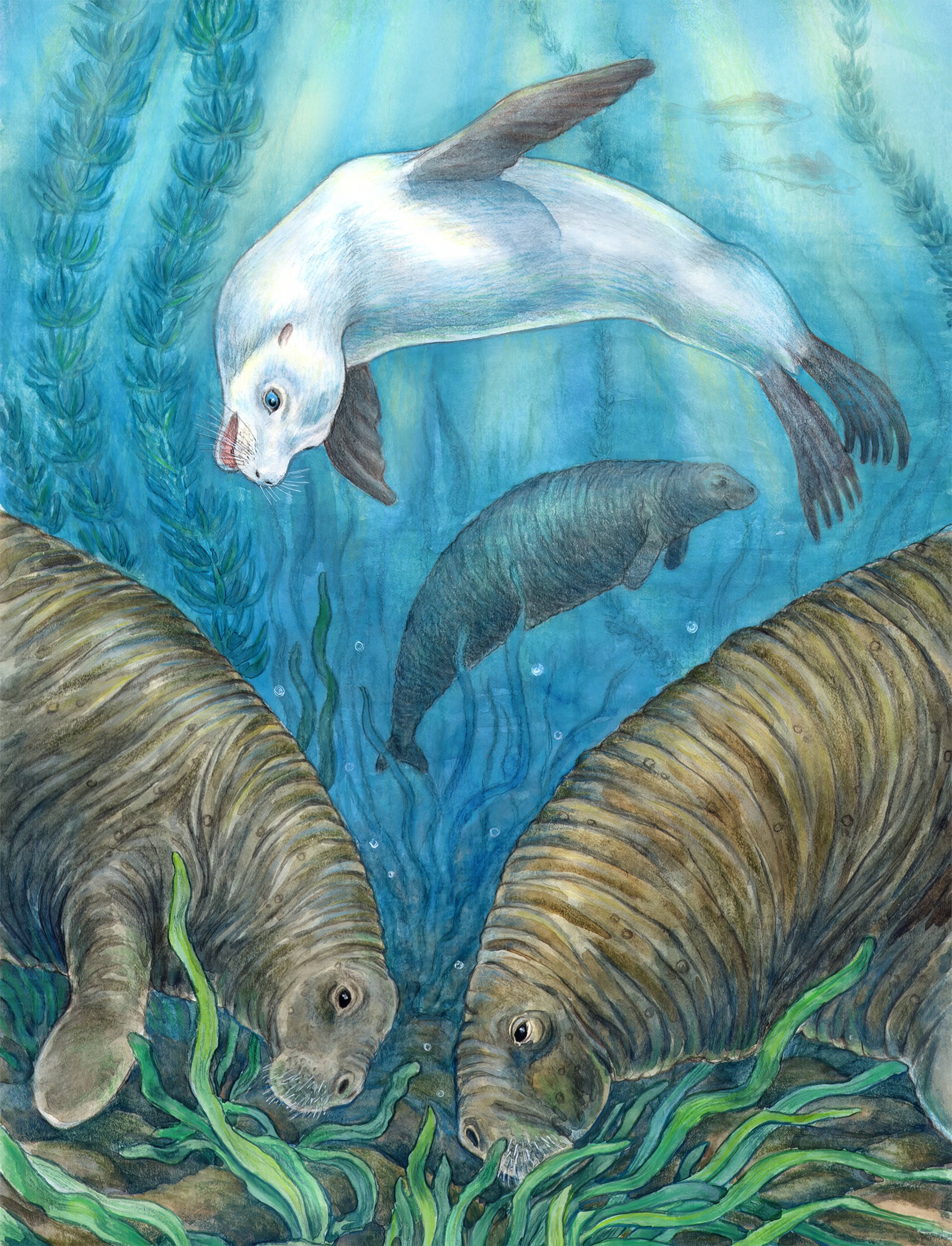 Иллюстрация к сказке Киплинга «Белый котик».