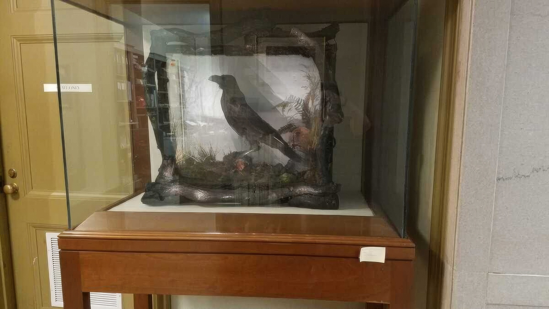 Чучело знаменитого ручного ворона, принадлежащего Чарльзу Диккенсу, хранится в отделе редких книг Свободной библиотеки Филадельфии.