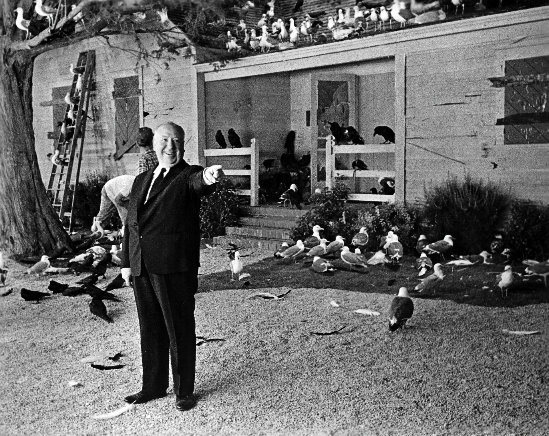 Альфред Хичкок на съемках триллера " Птицы" по одноимённому рассказу Дафны Дюморье.