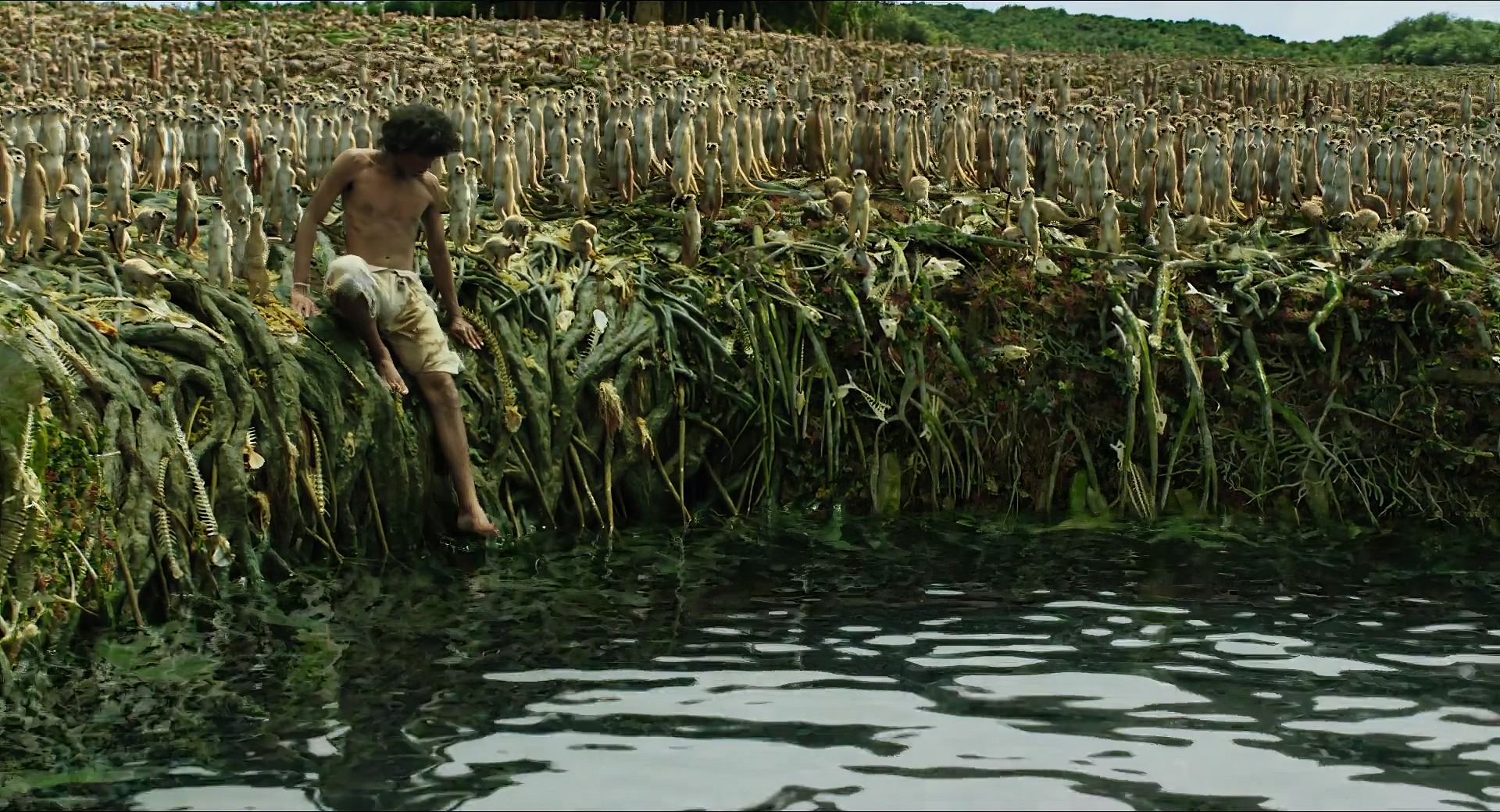 Остров водорослей. Кадр из приключенческого фильма Энга Ли «Жизнь Пи» (англ. Life of Pi), вышедшего в 2012 году. 