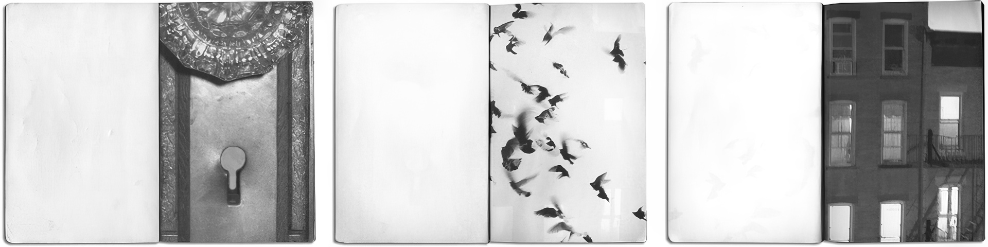 Рисунок 1: Фотография на обложке, на трёх разворотах между обложкой и страницей с посвящением в книге «Жутко громко и запредельно близко». Фотография дверной ручки © Дебра Мельцер; фотография птиц © Марианна Мюллер; фотография здания без указания авторства.